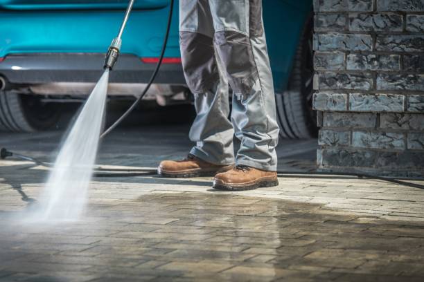 Best Soft Washing for Delicate Surfaces in Hutchins, TX